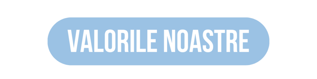 Copie A Design Fara Titlu 21